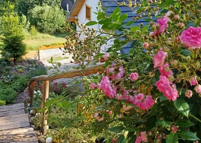 بيت للعطل Dom Pod Kogutem