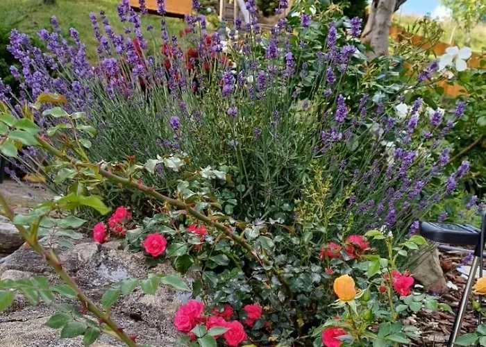 Dom Pod Kogutem بيت للعطل Laliki